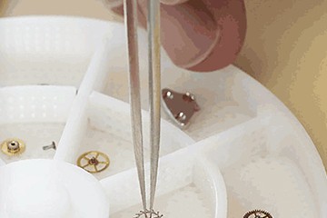 深圳积家走走就停了